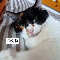 画像3552