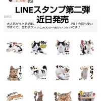 画像3555