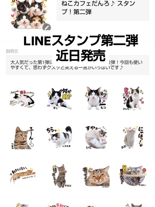 画像3555