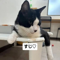 画像3557