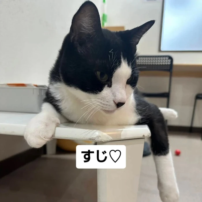 画像3557