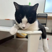 画像3558