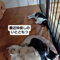 画像3560