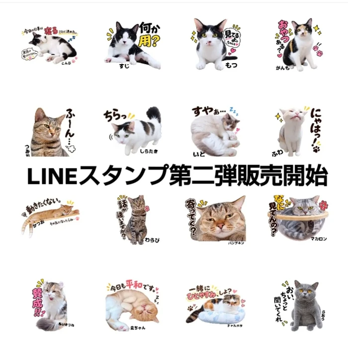画像3572