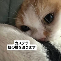 画像3584