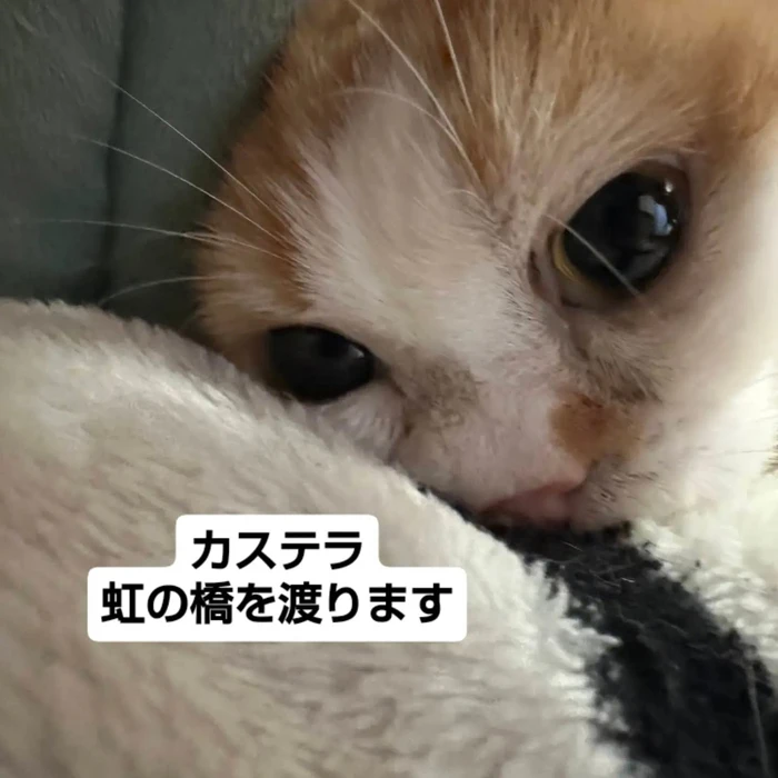画像3584