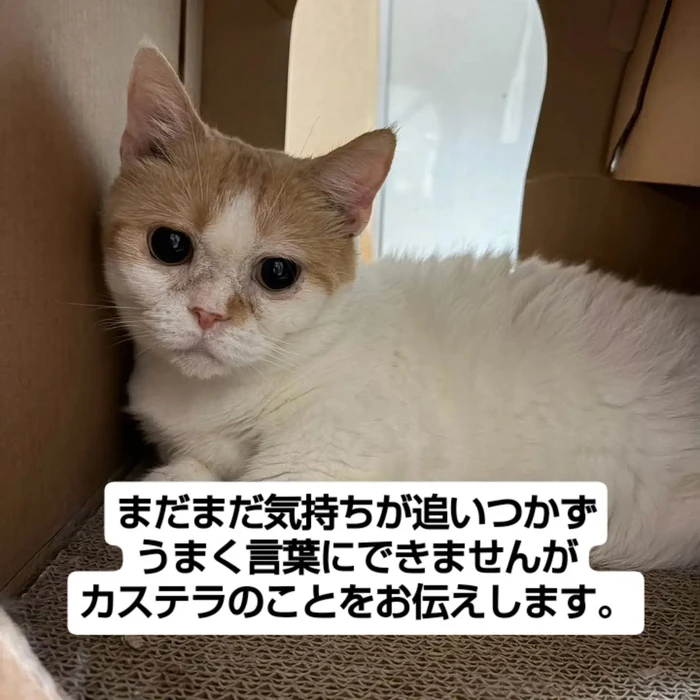 画像3586