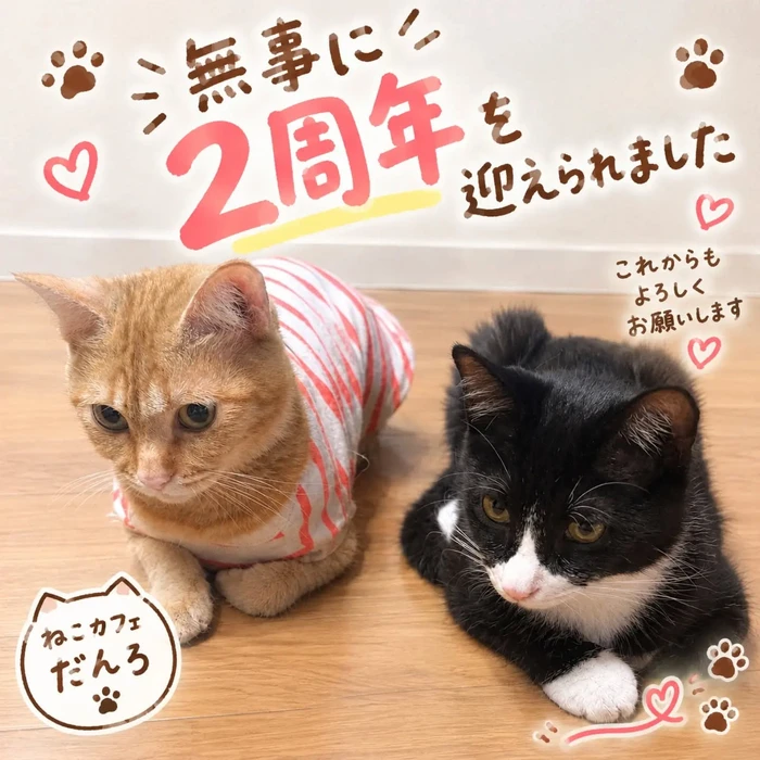 画像3593