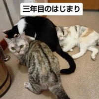 画像3595