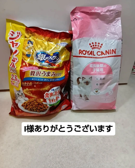 画像3605