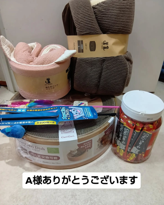 画像3608