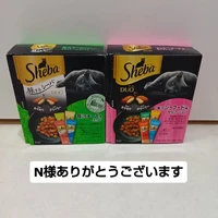 画像3611