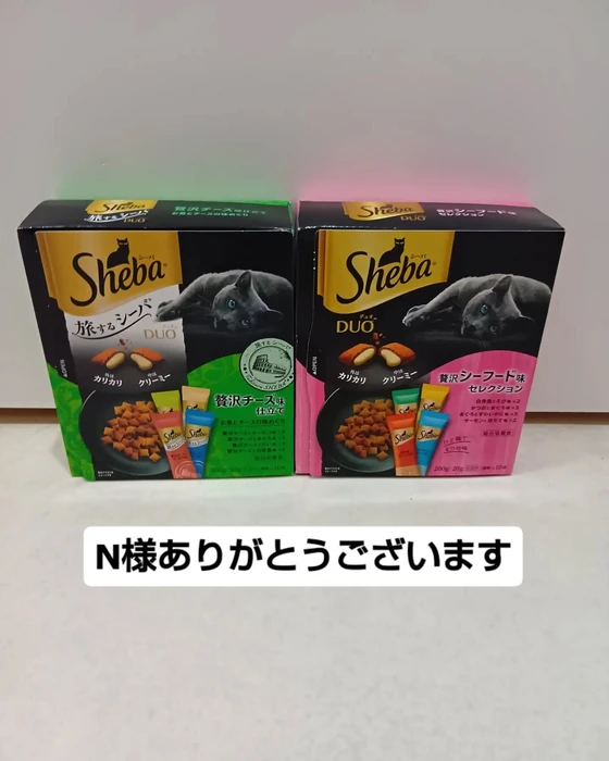 画像3611