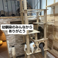 画像3615