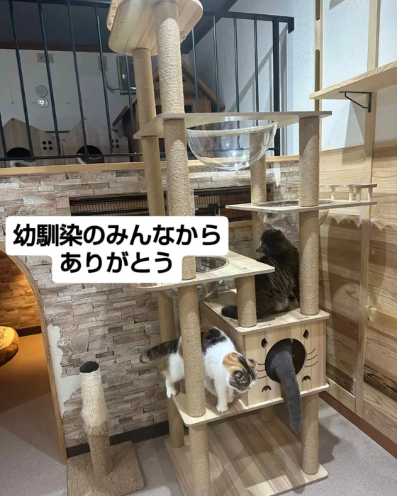 画像3615
