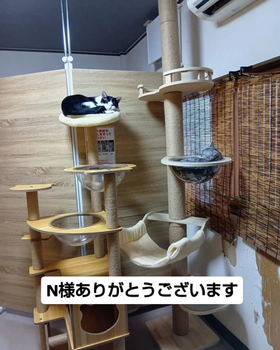 画像3616