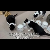 画像362