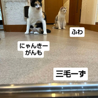 画像3624