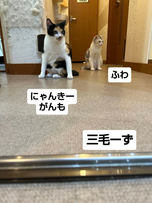 画像3624