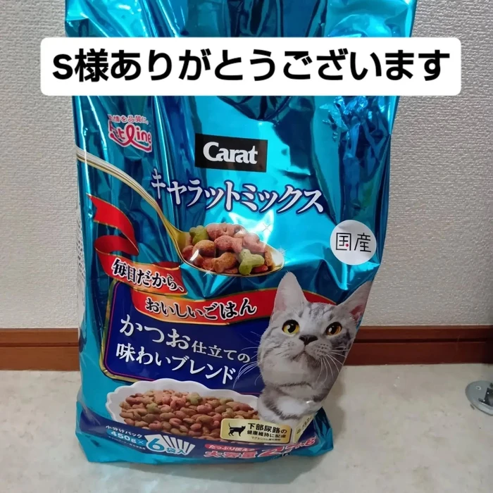 画像3647