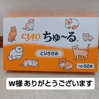 画像3649
