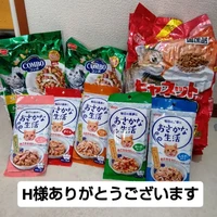 画像3651