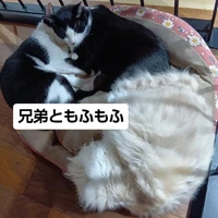 画像3654