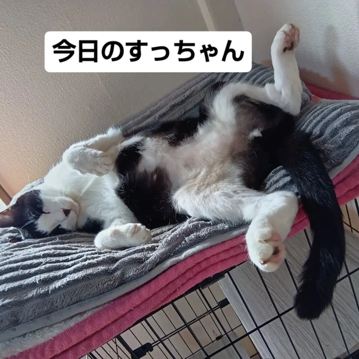 画像3660