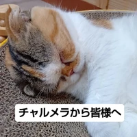 画像3672
