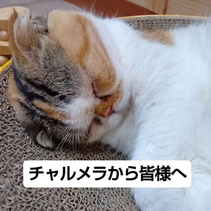 画像3672