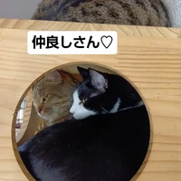 画像3676