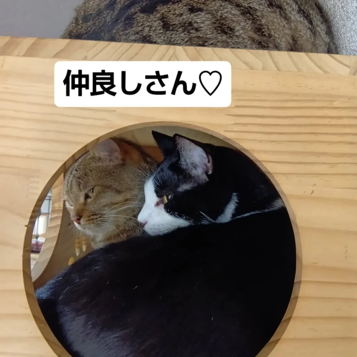 画像3676