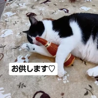 画像3679