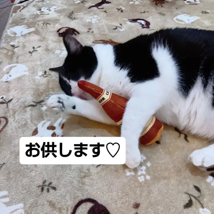 画像3679