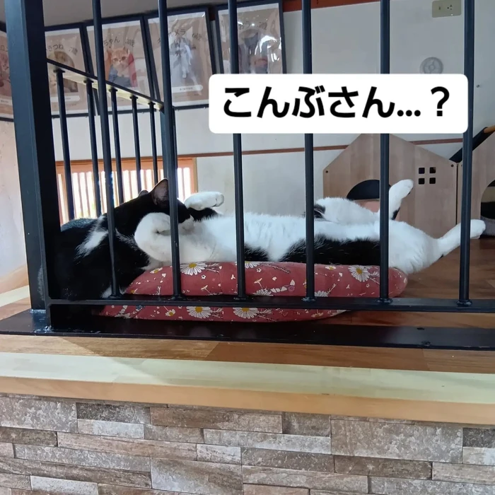 画像3685
