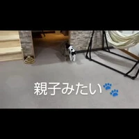 画像372