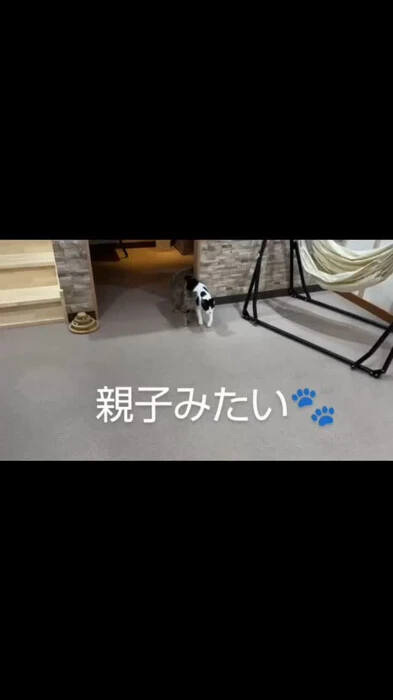 画像372