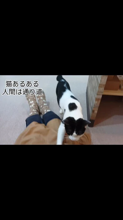画像378