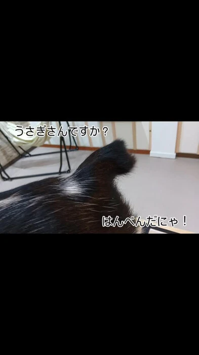 画像380