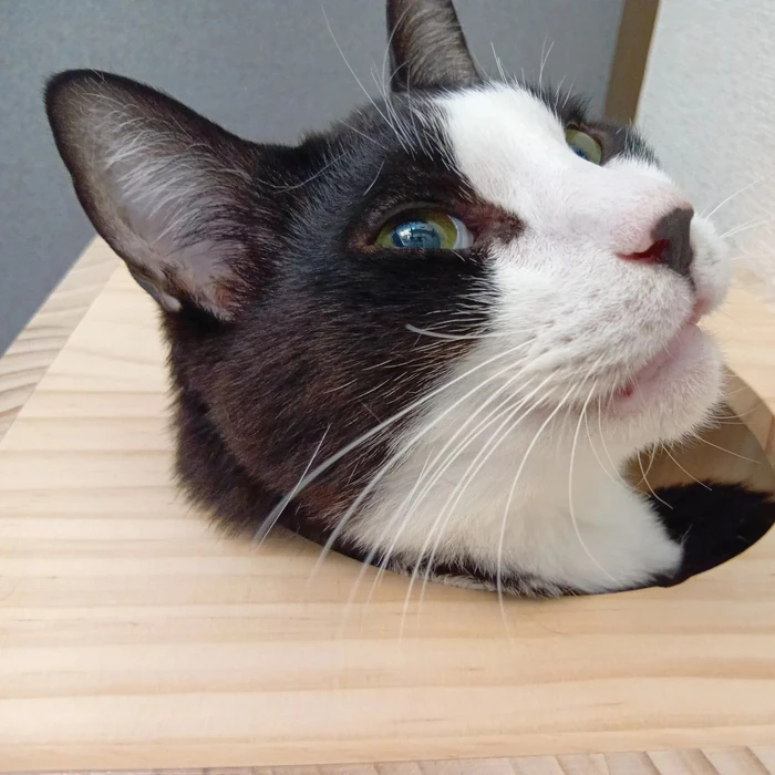 画像389