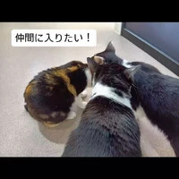 画像391
