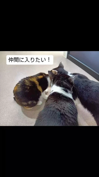 画像391