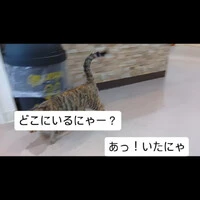 画像395