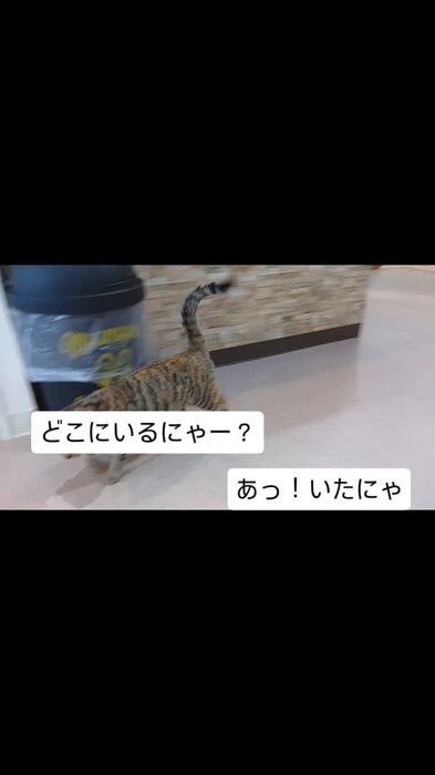 画像395