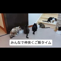画像397