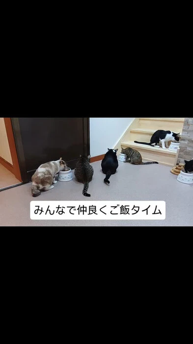 画像397