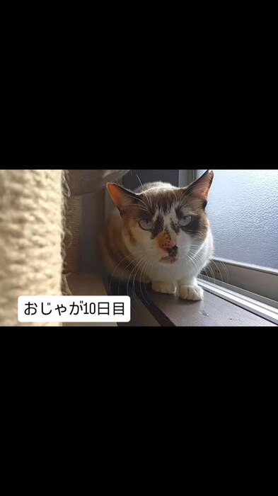 画像401