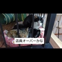 画像403