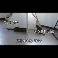 画像407