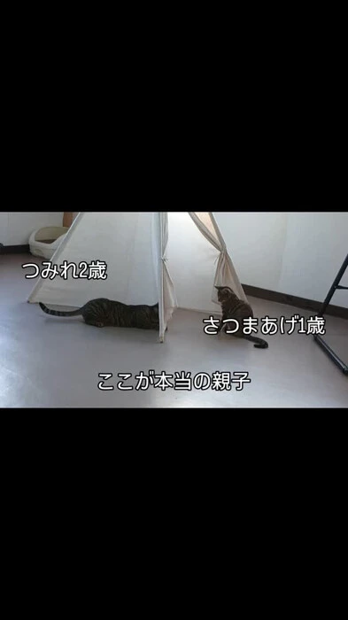 画像407